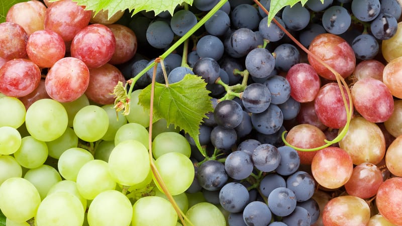 Ketahui Manfaat Buah Anggur Bagi Kesehatan Tubuh