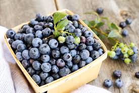 Blueberry, Buah Kecil Yang Kaya Antioksidan