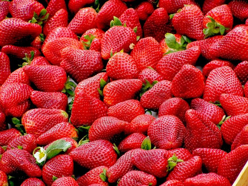 5 Makanan Ini Bisa Mencerahkan Warna Gigimu, Gak Perlu Bleaching Deh!