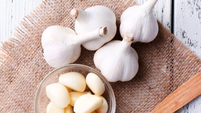 Hasil gambar untuk bawang putih