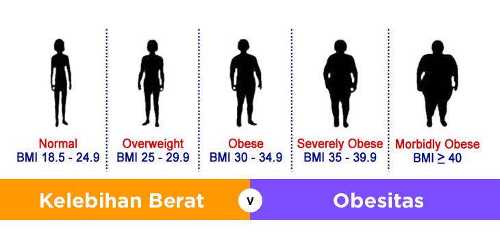 Penyebab Obesitas dan Cara Mencegahnya